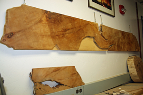 The 7-foot radius of Prometheus, the oldest individual organism ever known, adorns the wall of the UA Laboratory of Tree-Ring Research. (Image: Beatriz Verdugo/UANews) The 7-foot radius of Prometheus, the oldest individual organism ever known, adorns the wall of the UA Laboratory of Tree-Ring Research. (Image: Beatriz Verdugo/UANews)
